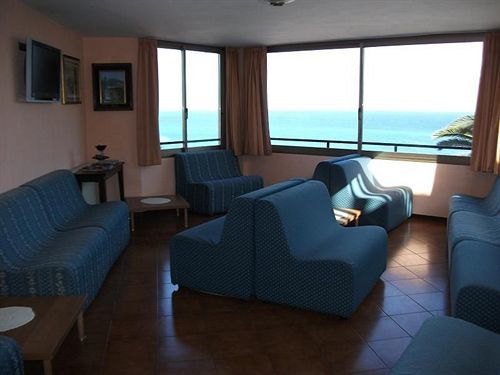Ulivo Diano Marina