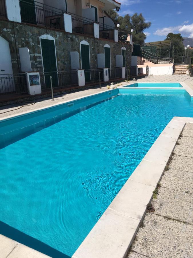 Ulivo Diano Marina